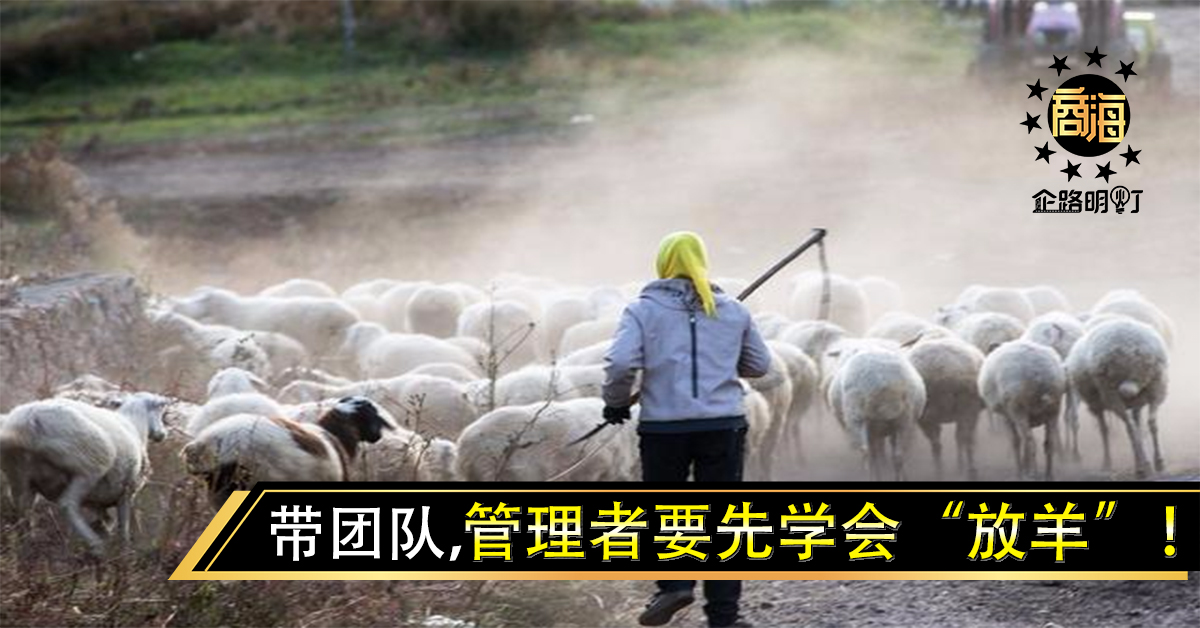 带团队，管理者要先学会“放羊”！（深度好文）