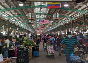 为促进商业和经济复苏 应推迟对中小企业采取法律行动