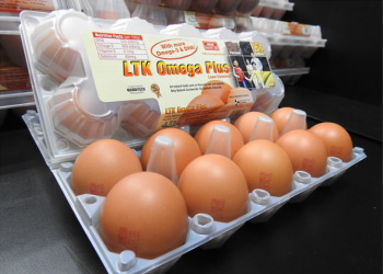 LTK不卖鸡蛋了 将转型为科技公司