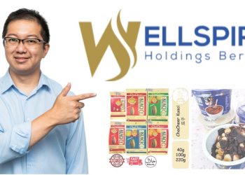 WELLSPIRE首日粉墨登场 溢价一度达36仙
