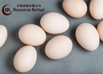 全利资源第三季多赚63%