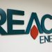 REACH能源触发PN17 股价暴跌