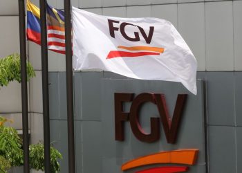 FGV被控非法入侵 遭索偿2492万