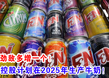 牛奶劲敌多增一个！星狮控股计划在2025年生产牛奶！