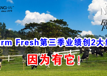 Farm Fresh第三季业绩创2大纪录 因为有它！