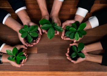 卓越合规与认证 特许机构CICA引领行业变革之路