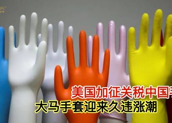 美国加征关税中国手套 大马手套迎来久违涨潮