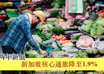 新加坡核心通胀降至1.9% 创近两年新低