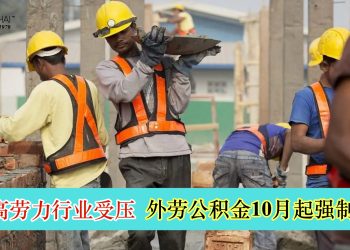 外劳公积金10月起强制征缴 四大高劳力行业受压