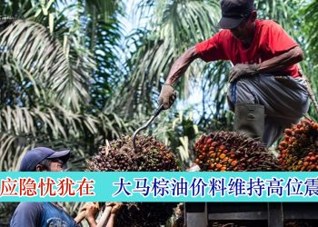 供应隐忧犹在 大马棕油价料维持高位震荡