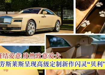 细节凝结爱意 欣然致意爱犬 劳斯莱斯呈现高级定制新作闪灵“贝利”