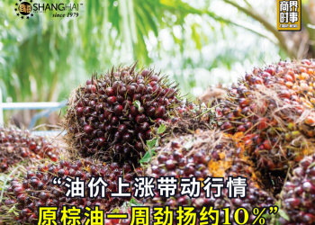 油价上涨带动行情 原棕油一周劲扬约10%