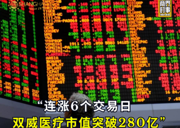 连涨6个交易日 双威医疗市值突破280亿