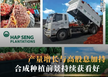 产量增长与高股息加持 合成种植前景持续获看好